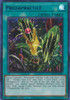LDS3-EN079 Predapractice (Blue)