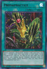 LDS3-EN079 Predapractice (Red)