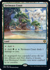 Yavimaya Coast (Foil)