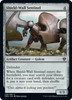 Shield-Wall Sentinel (foil)