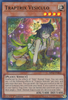 MP22-EN063 Traptrix Vesiculo