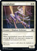 Aerialephant