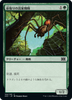 Deadly Recluse (Japanese) | Double Masters 2022
