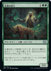 Eternal Witness (Japanese) | Double Masters 2022