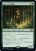 Oracle of Mul Daya (Japanese)
