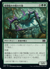 Webweaver Changeling (Japanese)