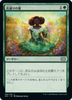 Summer Bloom (foil) (Japanese) | Double Masters 2022