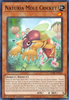 DABL-EN020 Naturia Mole Cricket
