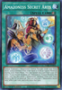 DABL-EN099 Amazoness Secret Arts