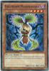 WGRT-EN051 Evilswarm Mandragora