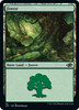 Forest (#112)