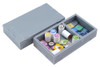Box Insert - Dominant Species and Dominant Species Marine