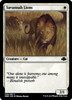 Savannah Lions