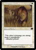 Savannah Lions (Retro Frame)