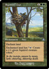 Squirrel Nest (Retro Frame)