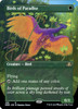 Birds of Paradise (Borderless Art)