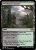 Woodland Cemetery (foil) | Dominaria Remastered