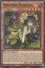 SDBT-EN008 Traptrix Vesiculo