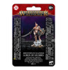 Warhammer Age of Sigmar - Hedonites of Slaanesh: Lord of Hubris