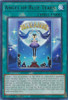 MAZE-EN029 Angel of Blue Tears