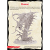Dungeons & Dragons Collector's Series: Remorhaz (OLD)