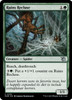 Ruins Recluse