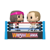 POP! WWE- Bret 'Hit Man' Hart and Pop! Shawn Michaels Moment