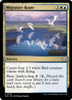 Migratory Route