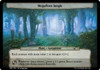 Plane - Megaflora Jungle