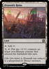 Drannith Ruins (foil)