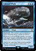 Colossal Whale