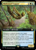 Mirkwood Trapper (Extended Art)