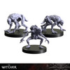 The Witcher: Necrophages 3 - Grave Hag