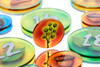 Photosynthesis Token Set