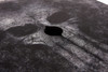 Card Storage Case Old Skull