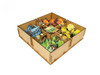 Box Insert – Photosynthesis