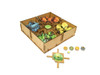 Box Insert – Photosynthesis