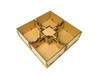 Box Insert – Photosynthesis