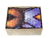 Box Insert – Gloomhaven + Forgotten Circle