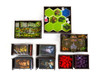 UV Print Box Insert – Warcraft: The Board Game + expansion