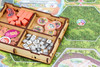 Box Insert – Dinosaur World + expansions