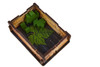UV Print Box Insert – Viticulture Essential Edition + expansions