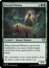 Eternal Witness