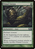 Primal Cocoon (The List Reprint)