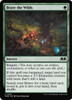 Brave the Wilds