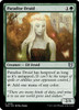 Paradise Druid