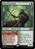 Questing Druid