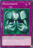 SBC1-ENF17 Metalmorph