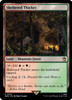 Sheltered Thicket