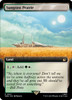 Sungrass Prairie (Extended Art)